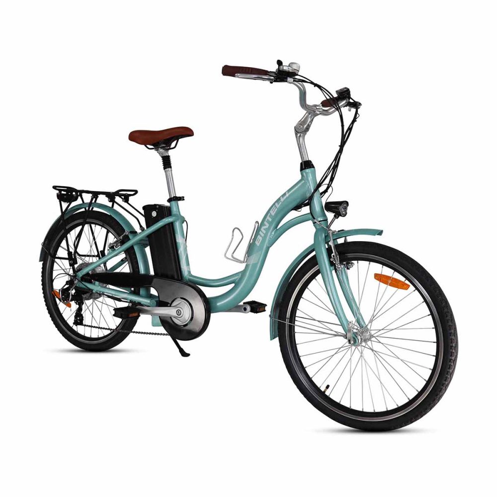 Bintelli Journey - Mint